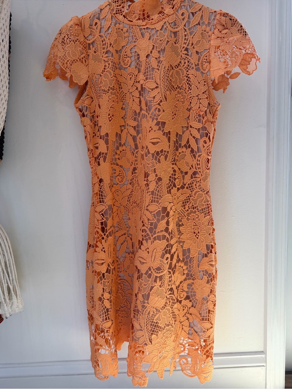 Hannah Orange Lace Mock Neck Mini Dress